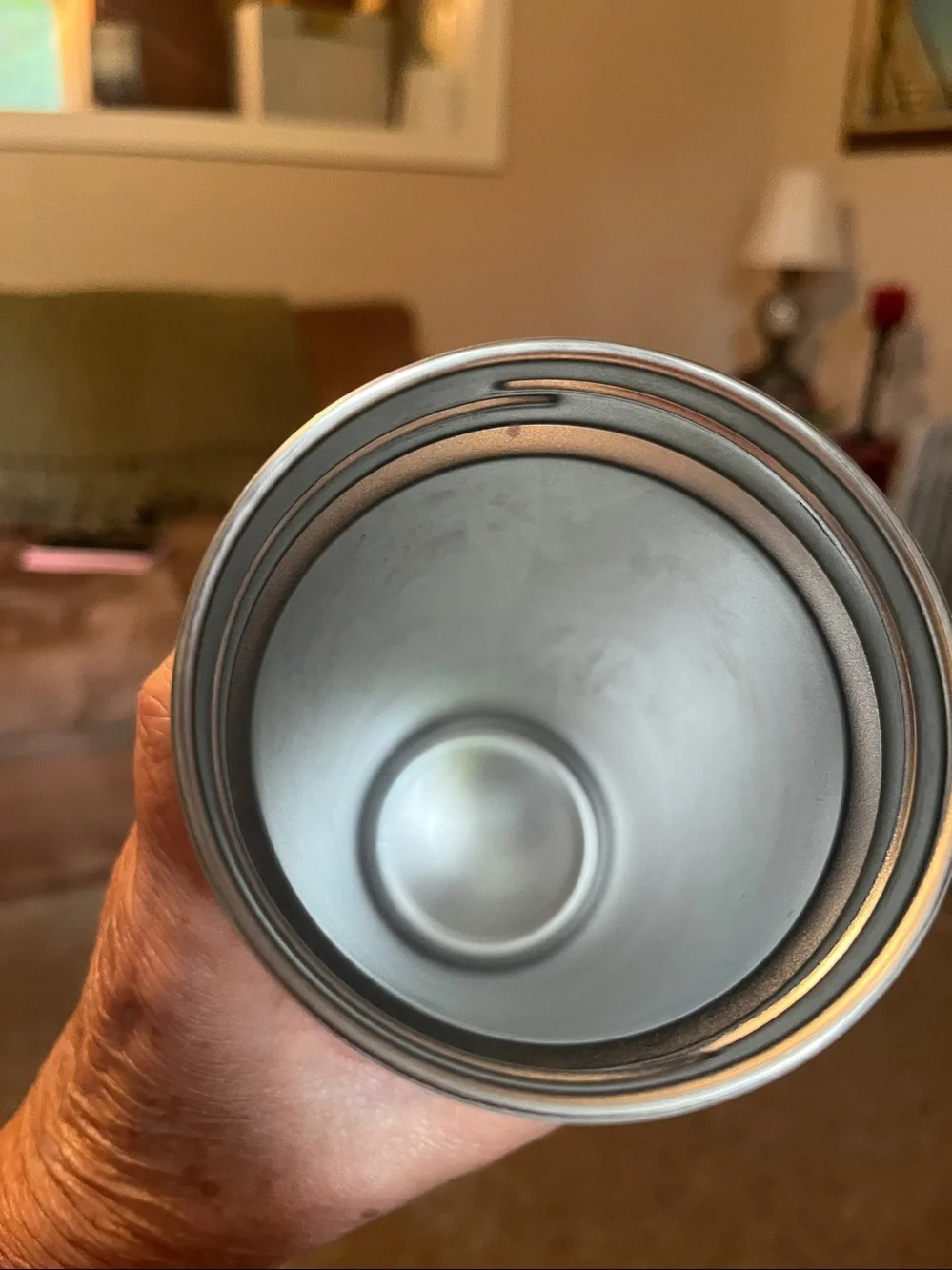 SERENGETI Dachshund 20 Oz. Stainless Steel, Vacuum Insulated Tumbler with Spill
